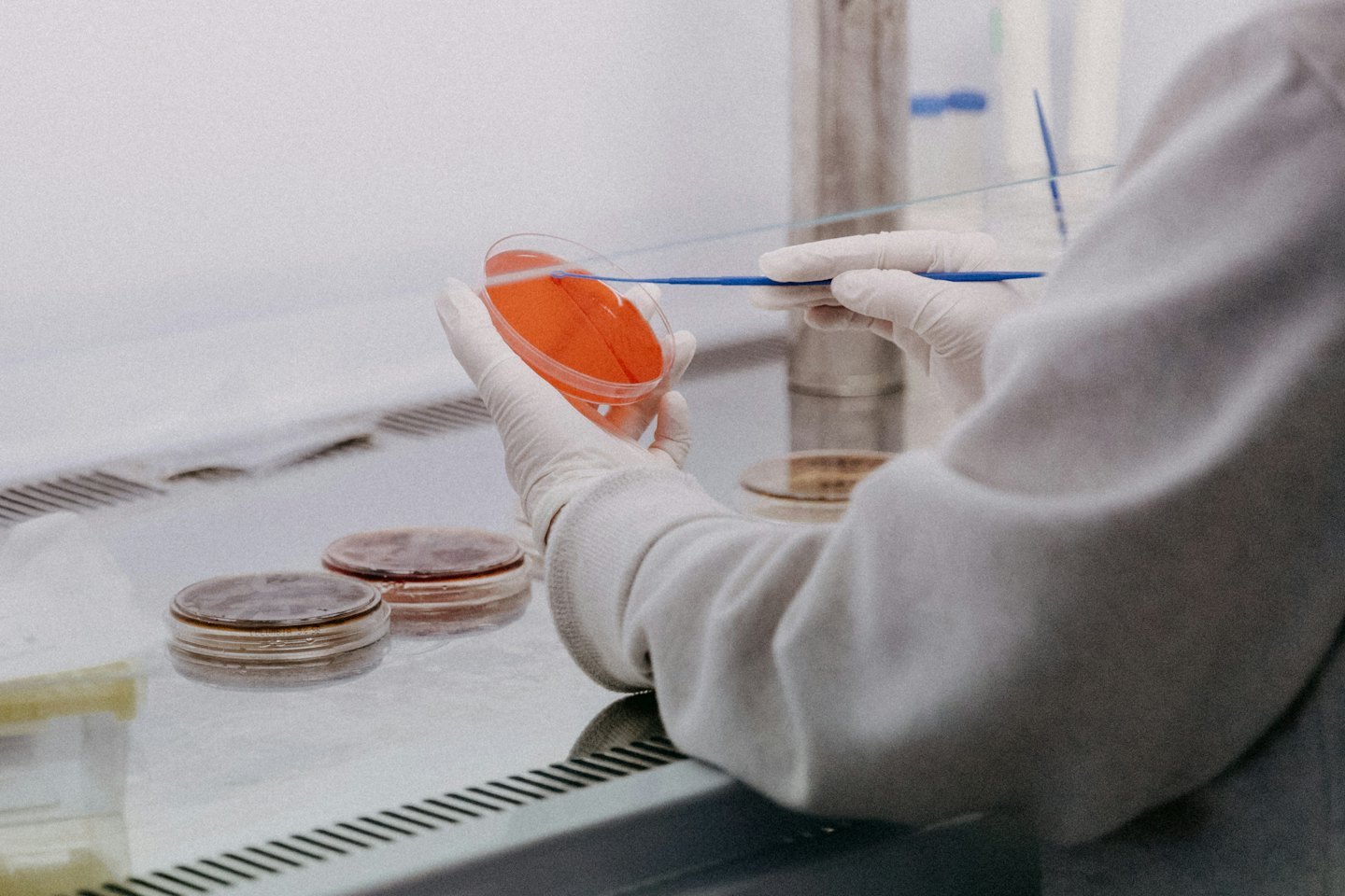 Científico con bata de laboratorio sostiene una placa de Petri con medio de crecimiento naranja.